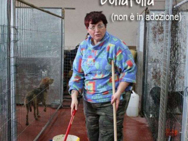 Donatella al lavoro